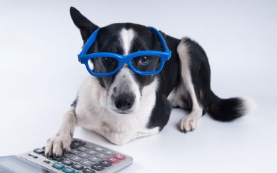 David Barnes’ Under-Utilized Pet Tax Deductions
